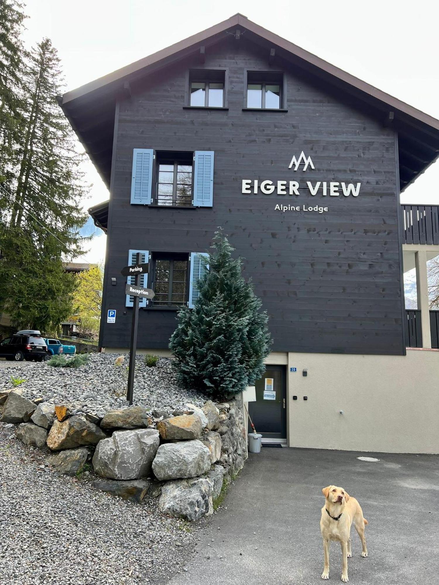 Eiger View Alpine Lodge Grindelwald Eksteriør bilde