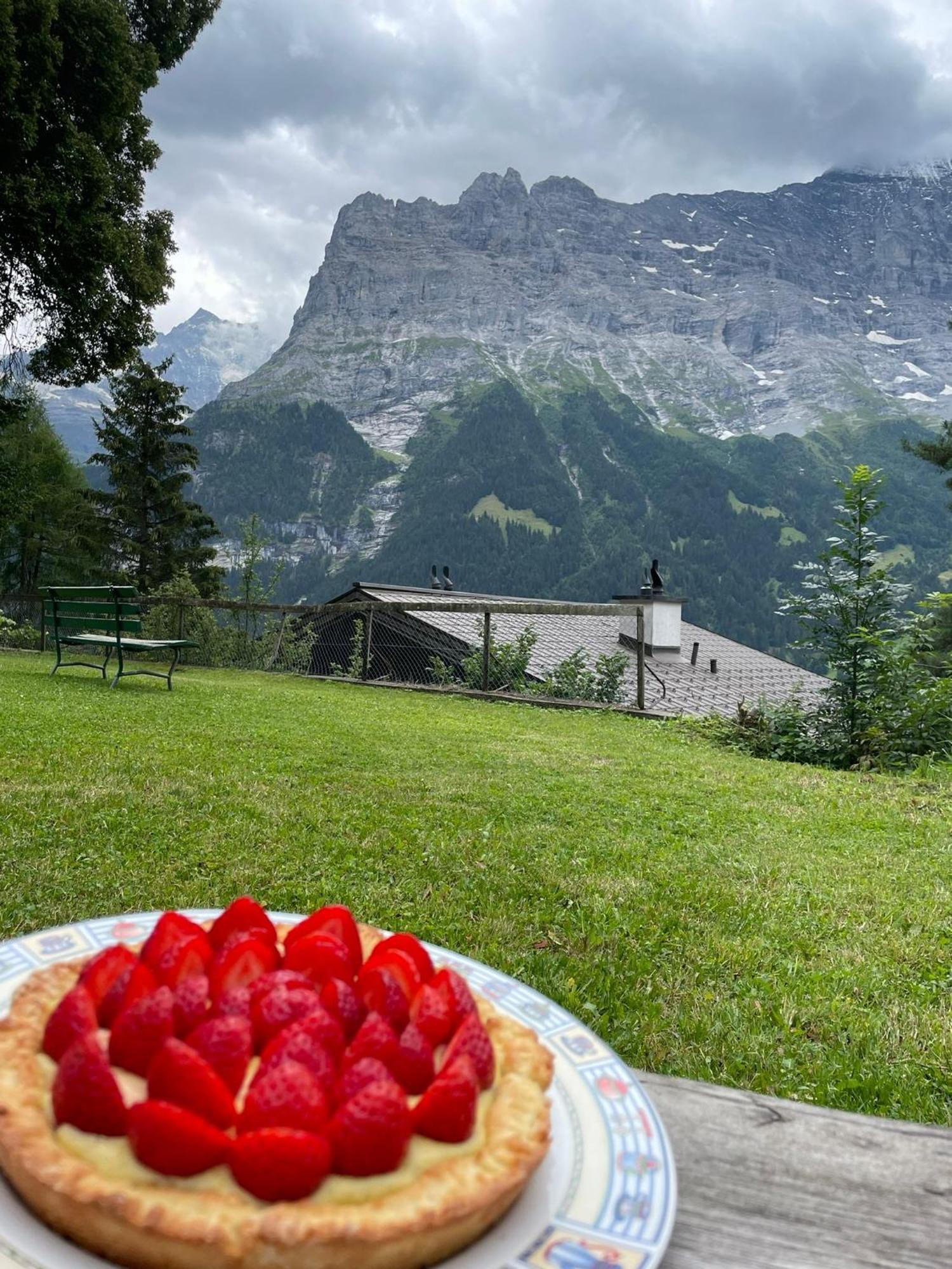 Eiger View Alpine Lodge Grindelwald Eksteriør bilde